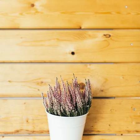 Shurhuq Ospitalita Siciliana Bed & Breakfast 4*